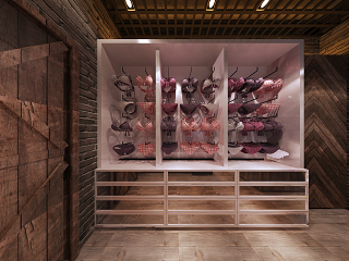 工业风工业女性内衣展示商店