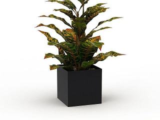 绿植盆栽模型
