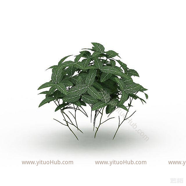 现代观叶植物模型