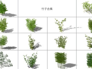 树木 灌木 乔木