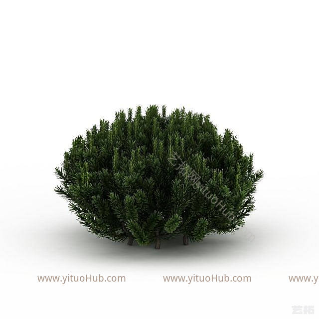 现代常青植被模型