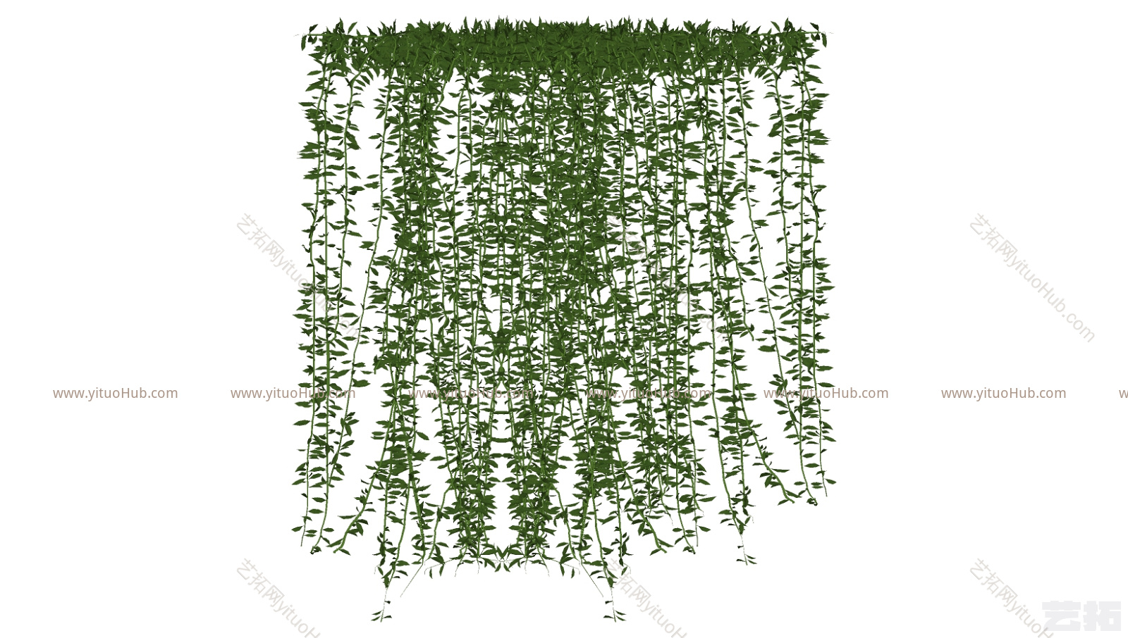 现代藤蔓 绿植 绿植景观墙  