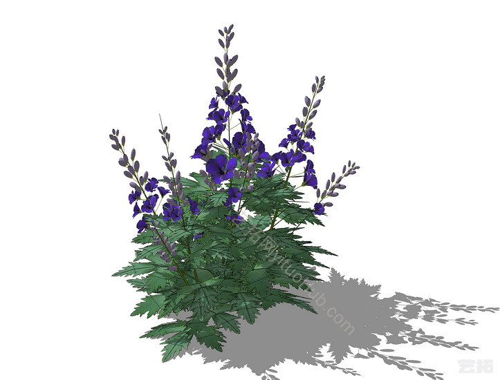 精品免费地被植物