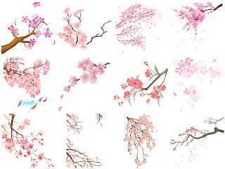 樱花免抠素材