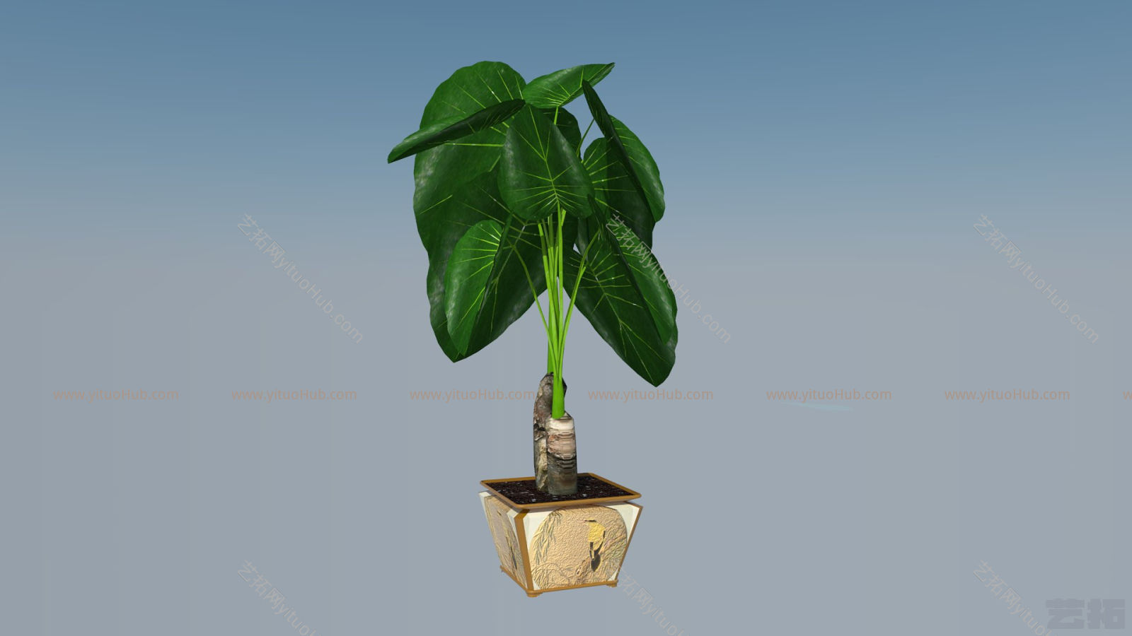 SU3D模型—植物滴水观音