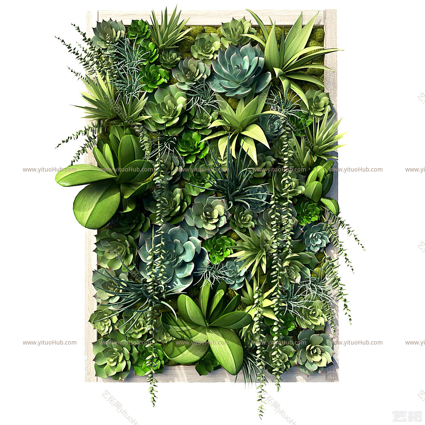 现代绿植墙