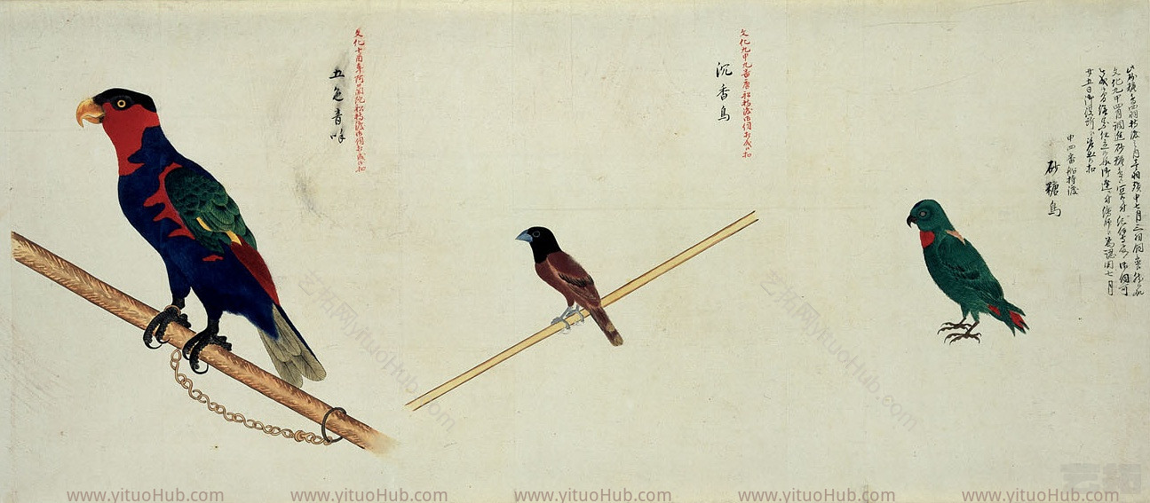 7.挂画8.动物花鸟 (53) 看图王花鸟 (53) 看图王