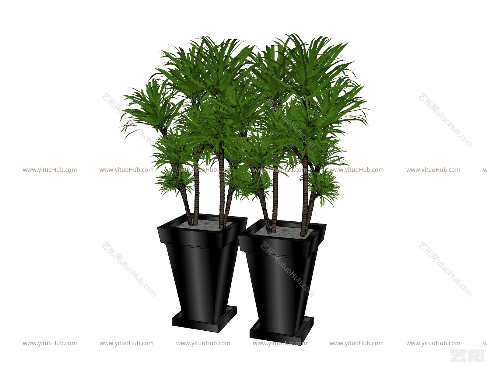 现代植物盆栽草图大师