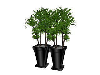 现代植物盆栽草图大师