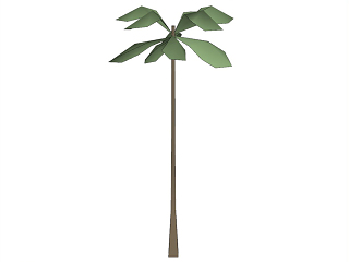 棕榈科植物