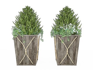 现代风格植物模型