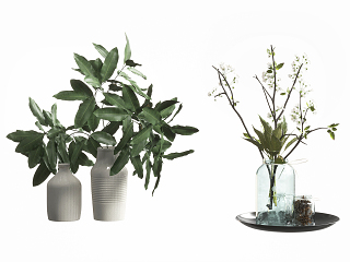 现代植物花瓶摆件|现代植物装饰摆件|现代植物花瓶|玻璃花瓶|