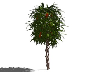 3D植物树