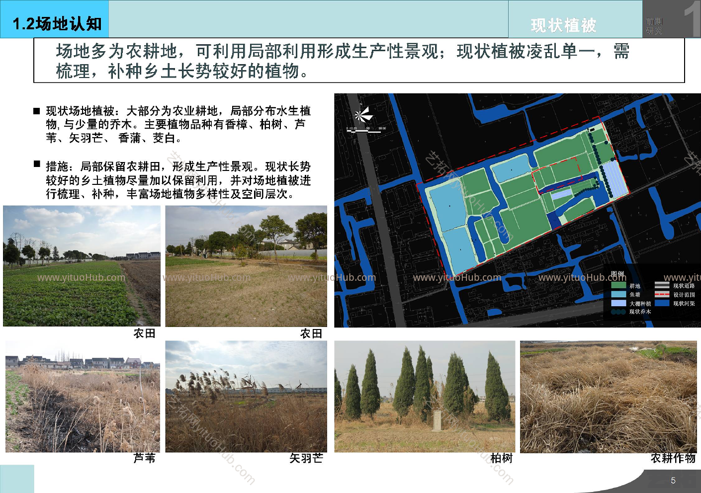上海万金观赏鱼农业景观园景观设计