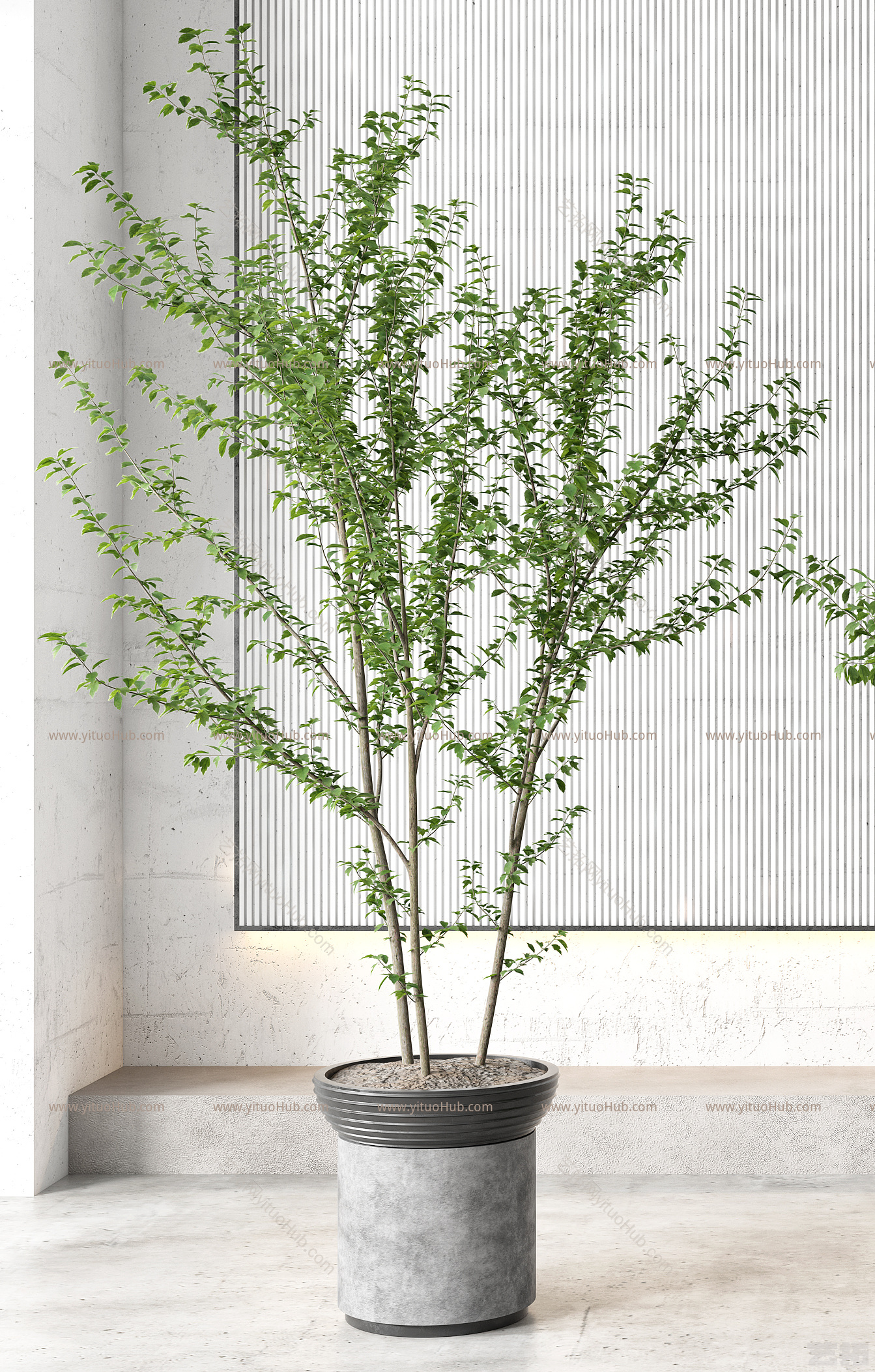 现代盆栽 盆景 植物组合
