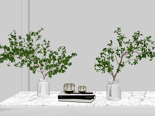 现代水生植物玻璃花瓶