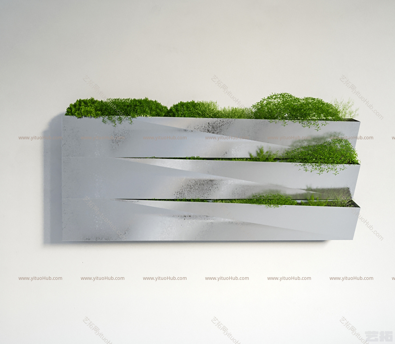 现代植物盆栽