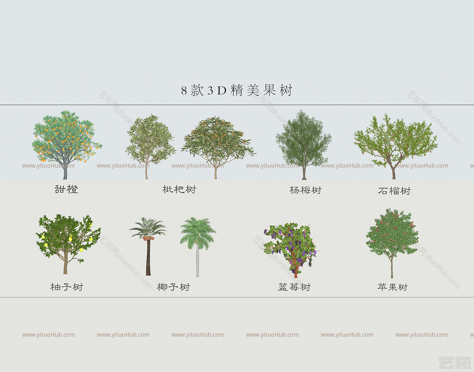 现代乔木