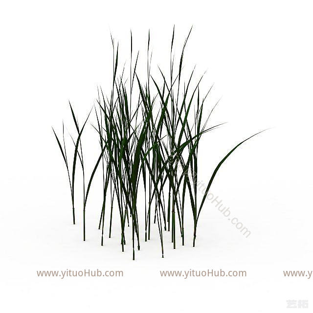 现代野草模型