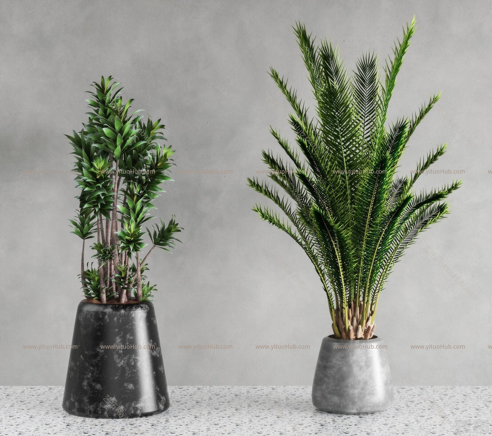 现代绿植盆栽