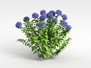 蓝色花丛模型