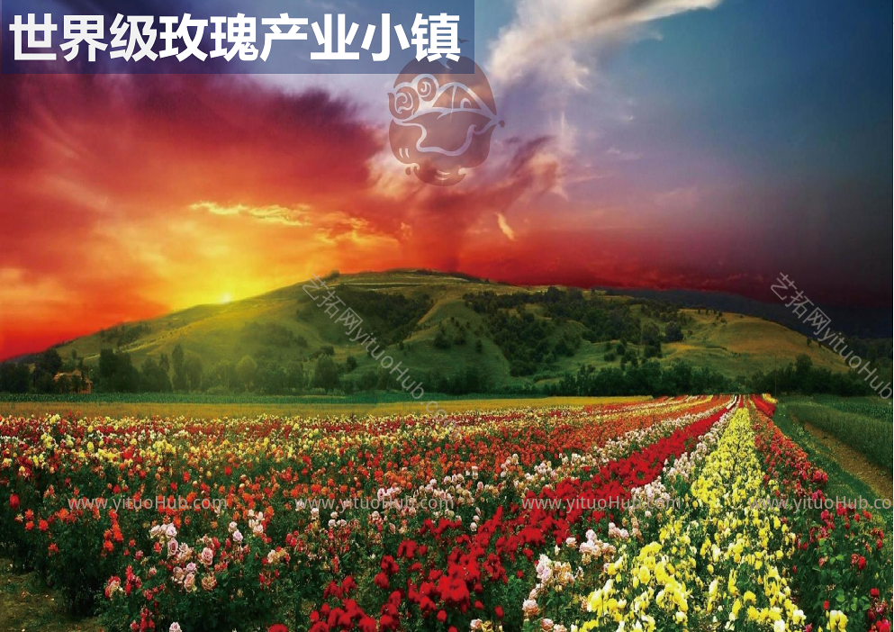 西水玫瑰特色文旅小镇规划