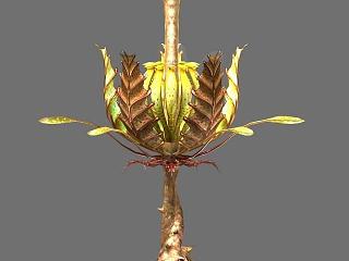 现代植物怪模型