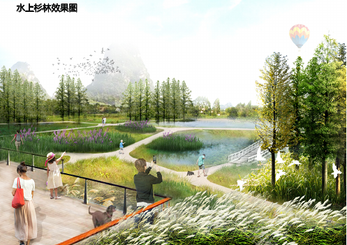 柳州芭公塘湿地公园概念设计植物分析