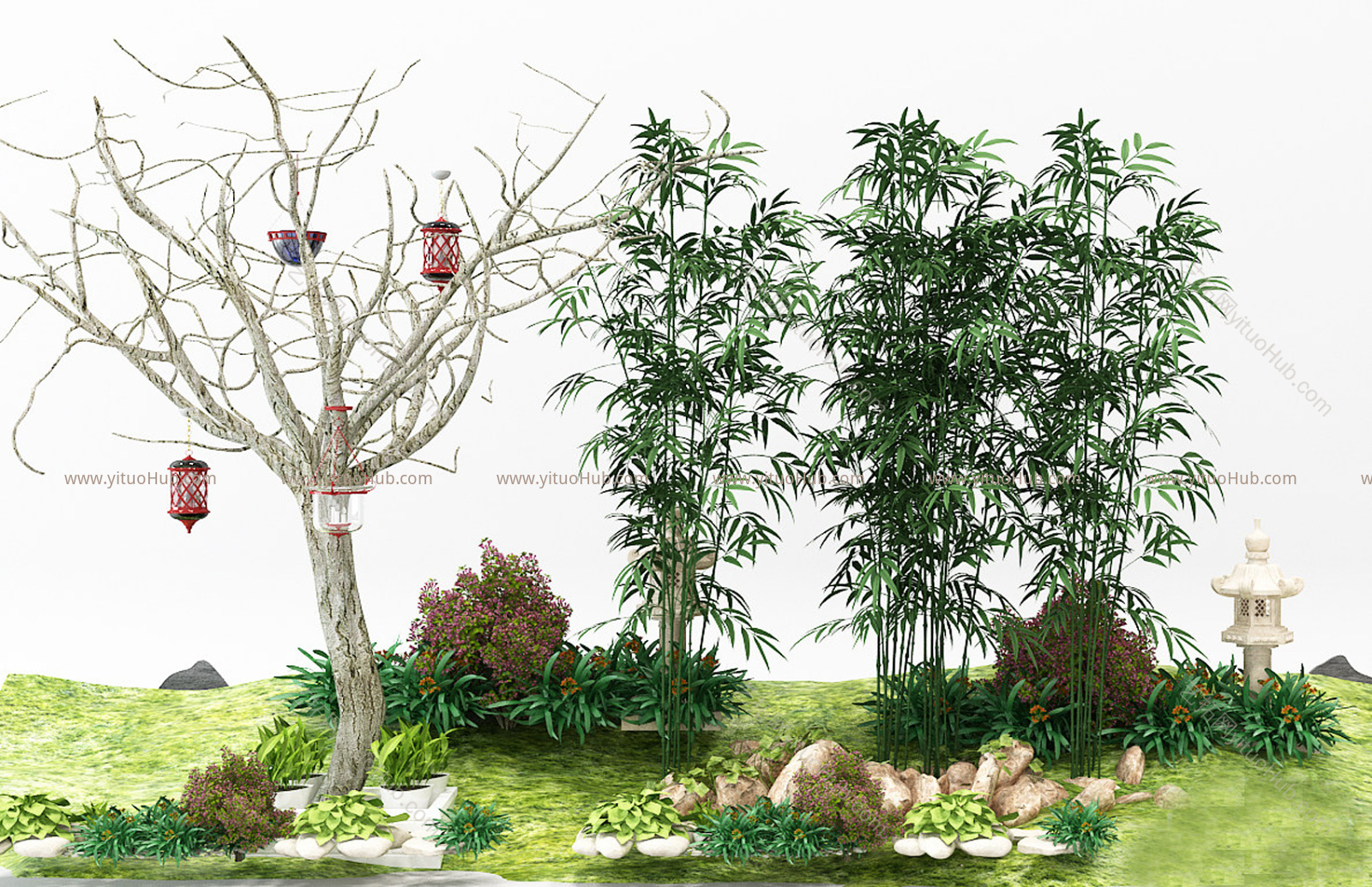 现代植物 树木 干枝