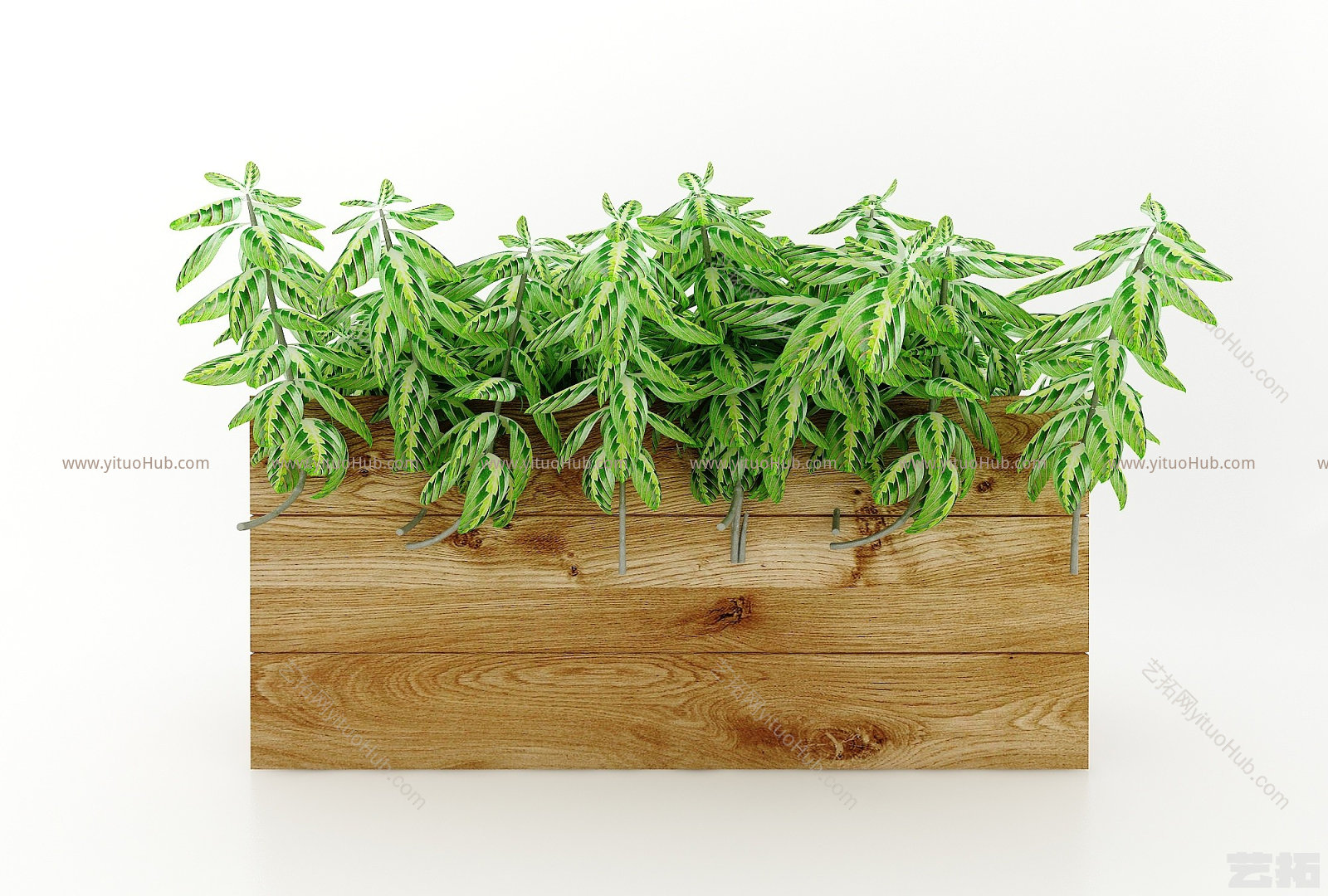 现代风格植物模型