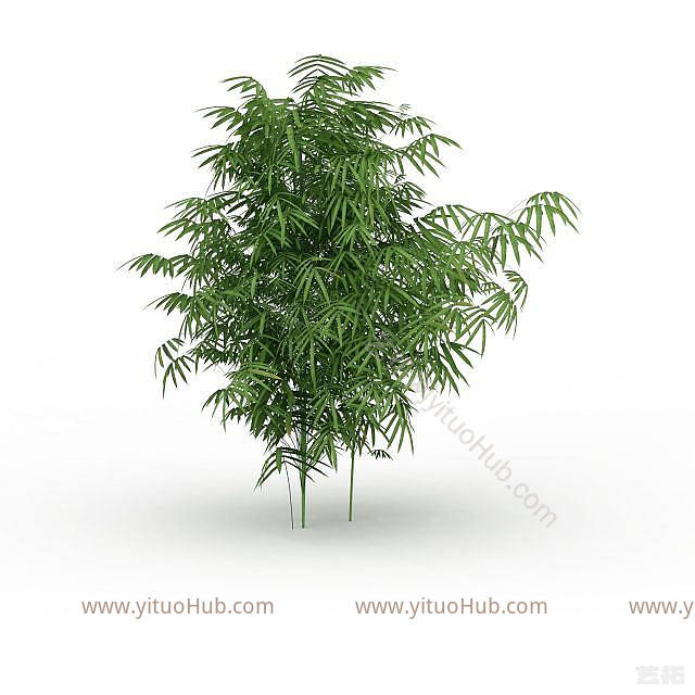 现代园林植物竹子模型