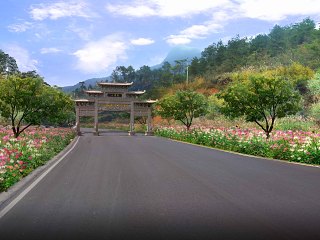 公路道路花境植物组团景观效果图
