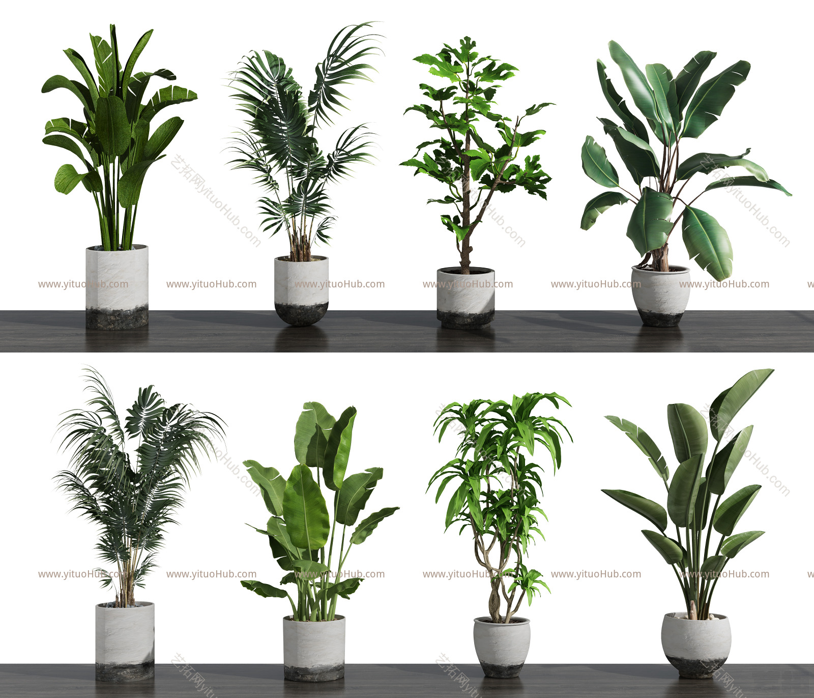 现代植物盆栽