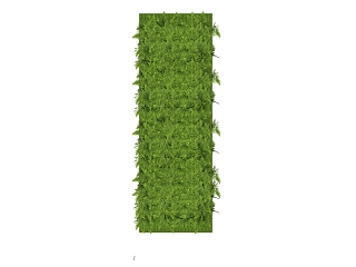 现代装饰植物 绿植墙组合 