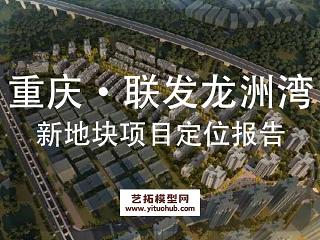 重庆·联发龙洲湾新地块项目定位报告