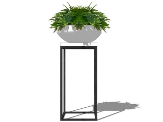 室内盆栽