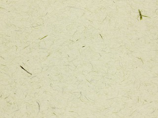 再生纸纹理纸奶油纸张素材贴图
