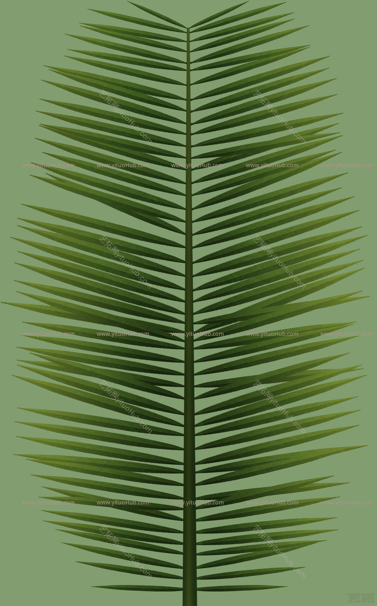 植物草叶植样纹 (595)植样纹 (595)
