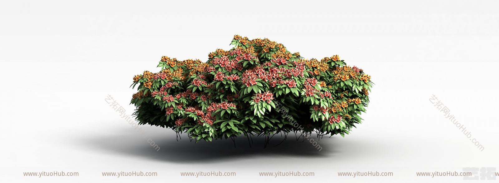 现代植物花草绿植模型