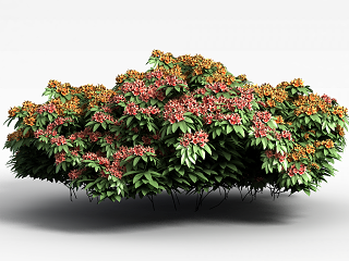 现代植物花草绿植模型