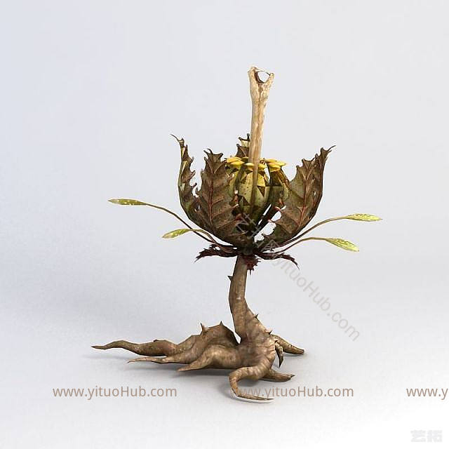 现代植物怪模型
