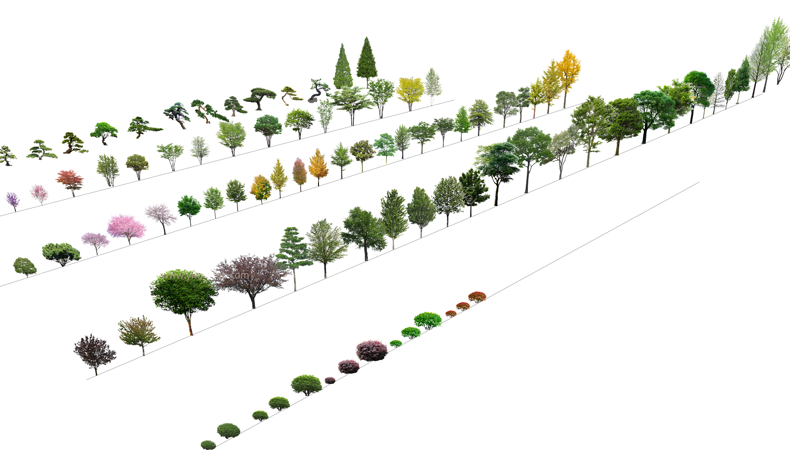 现代2D植物树组合