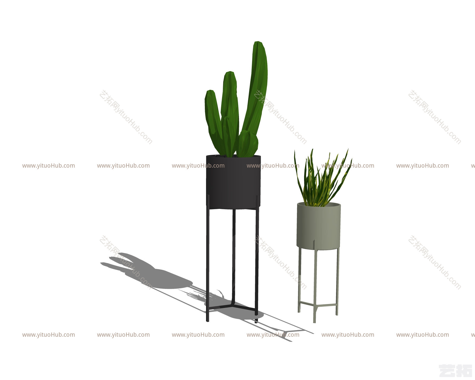 现代网红仙人掌高盆植物其他 椅子 室外 植物 画