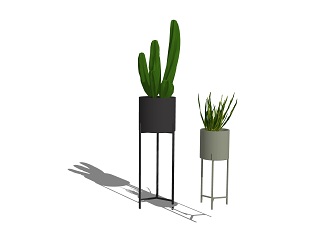现代网红仙人掌高盆植物其他 椅子 室外 植物 画