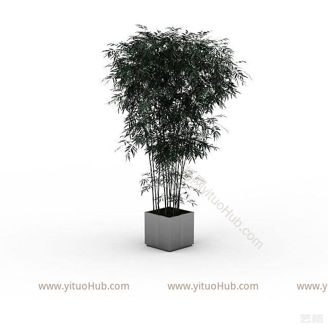 现代绿色室内植物模型