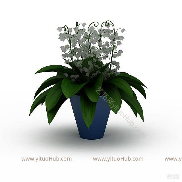 白色室内植物模型