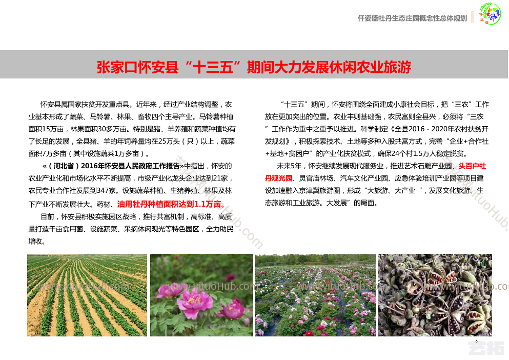 仟姿盛牡丹生态庄园概念性总体规划