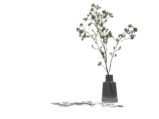 现代水生植物盆栽
