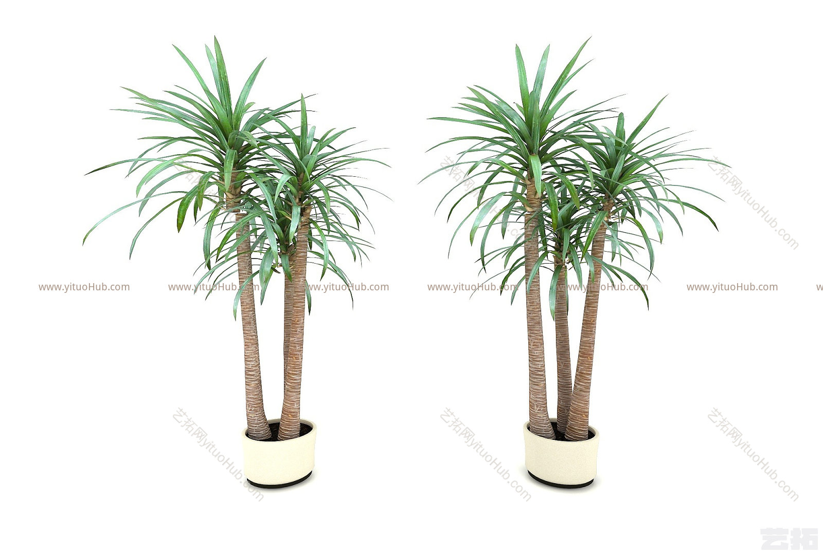 现代植物绿植模型