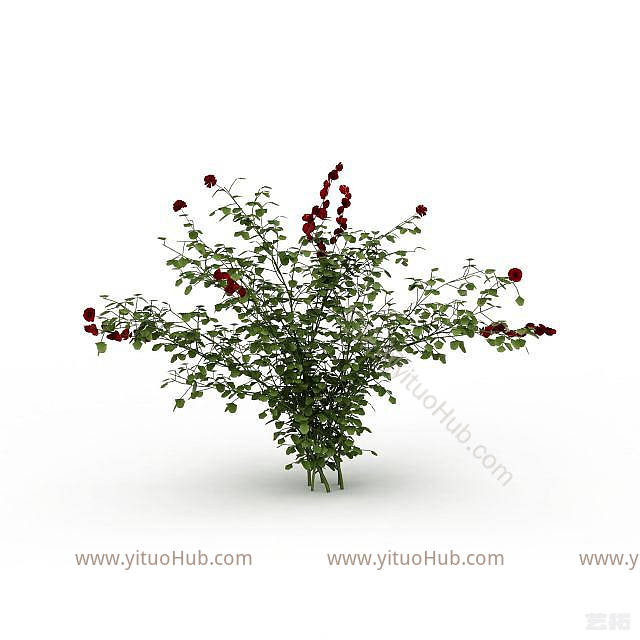 现代红色花株模型